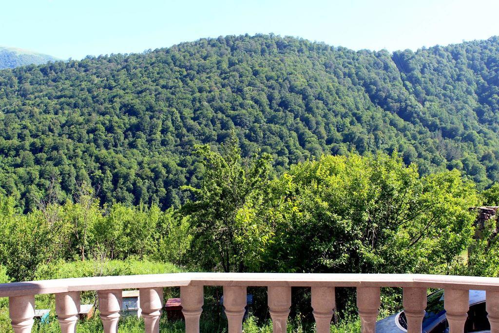 Family & Friends Guest House Dilijan Eksteriør billede